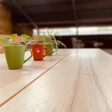 Vintage Caravan In Old Orchard At Farm Huize Blokland