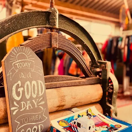 Parque de Campismo Vintage Caravan In Old Orchard At Farm Huize Blokland Hem