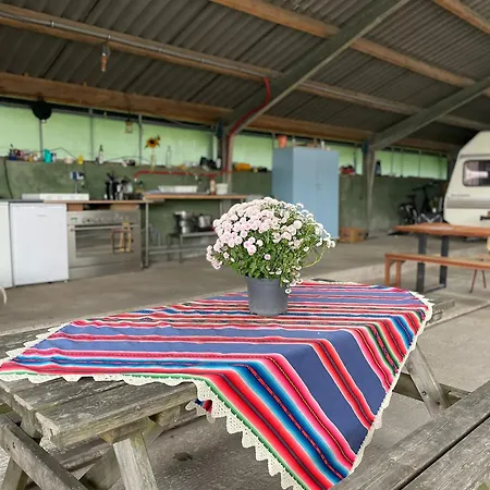 Vintage Caravan In Old Orchard At Farm Huize Blokland Parque de Campismo *