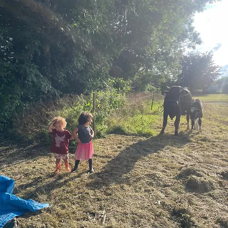 Vintage Caravan In Old Orchard At Farm Huize Blokland Parque de Campismo *