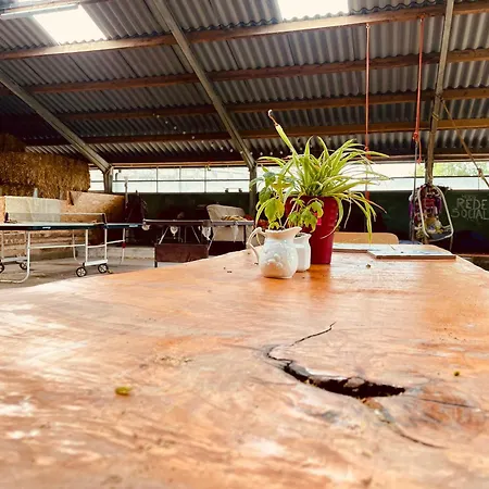 Κάμπινγκ Vintage Caravan In Old Orchard At Farm Huize Blokland Hem